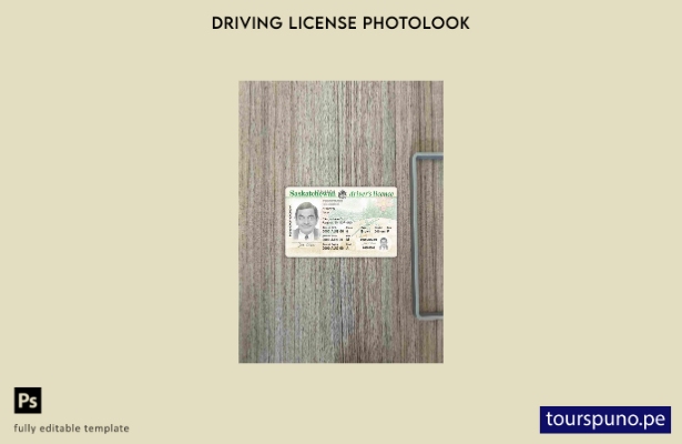listo para imprimir plantilla FRONTAL de aspecto fotográfico DL de la provinci 1
